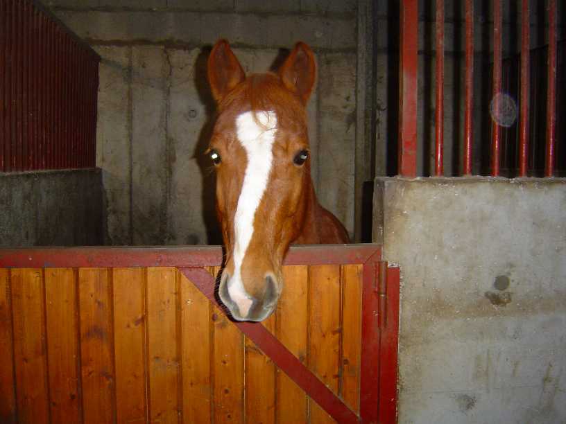 Photo de profil de tiotte73
