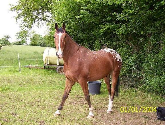 Photo de profil de tornado44
