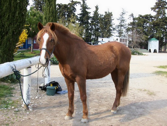 Photo de profil de val84