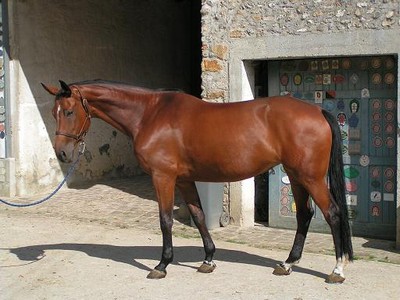 Photo de profil de varois