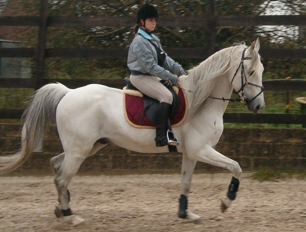 Photo de profil de x-steph-x