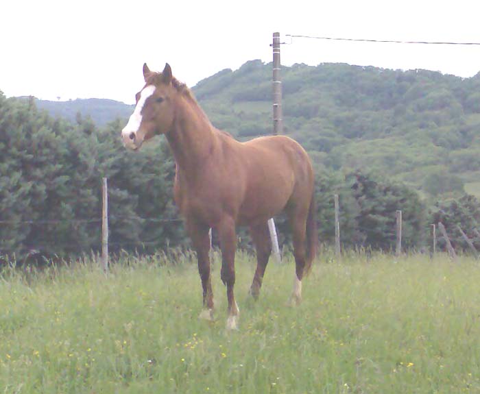 Photo de profil de yveschris