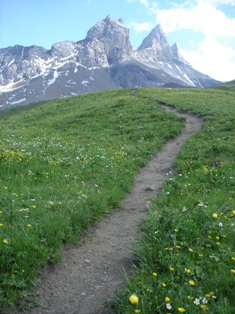 Photo de profil de albiez