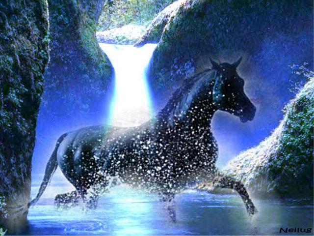 Photo de profil de alison