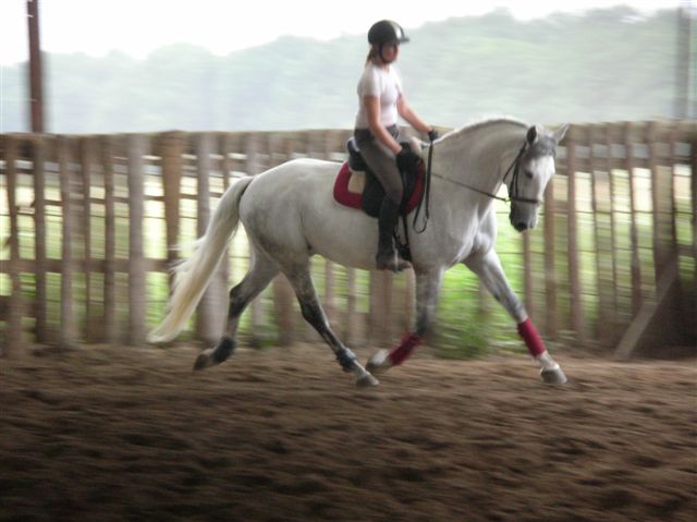 Photo de profil de amelie37