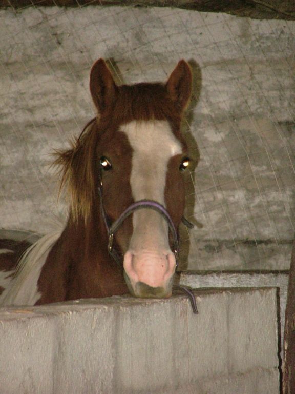 Photo de profil de anayss59