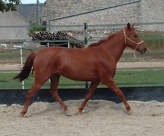 Photo de profil de aurelia-lolita