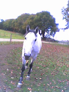 Photo de profil de bacaratdu56