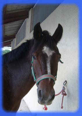 Photo de profil de bang-bang