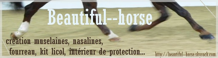 Photo de profil de beautiful--hors