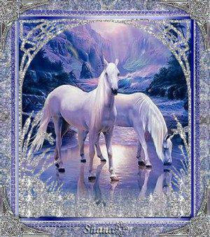 Photo de profil de bidulemachin