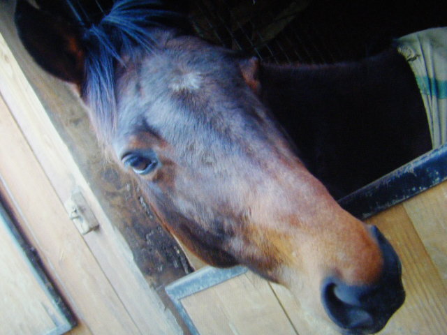 Photo de profil de cachouxx