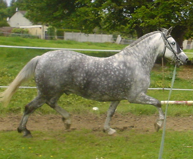Photo de profil de carine16