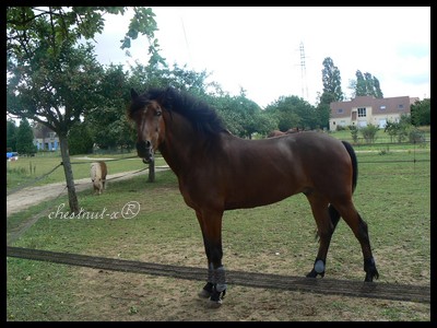 Photo de profil de chadem