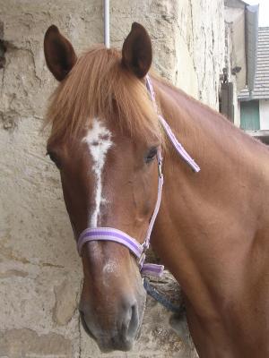 Photo de profil de claire3107