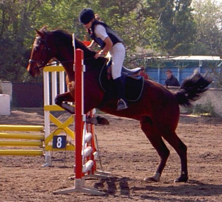 Photo de profil de constance2802