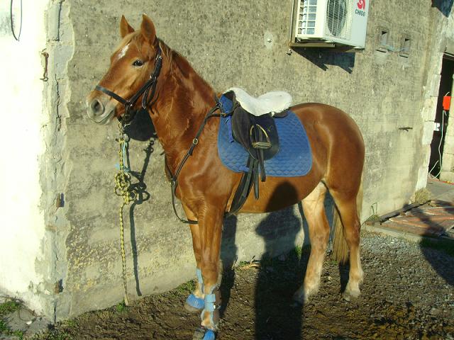 Photo de profil de cripy