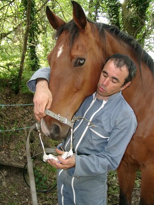 Photo de profil de dam56