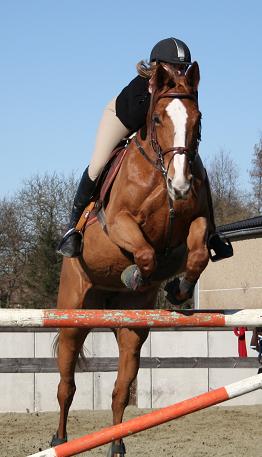 Photo de profil de didoclaire