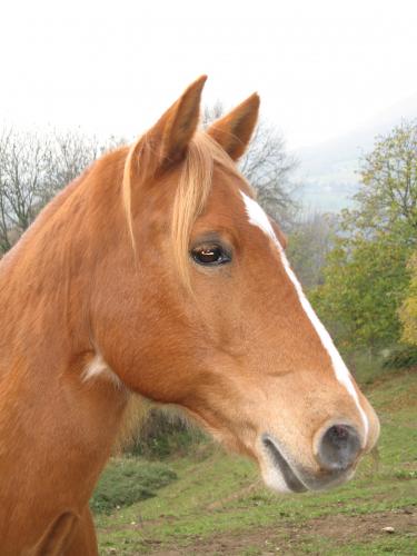 Photo de profil de drey