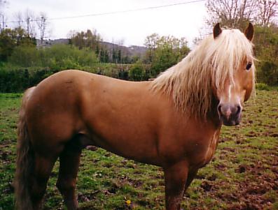 Photo de profil de eldorado