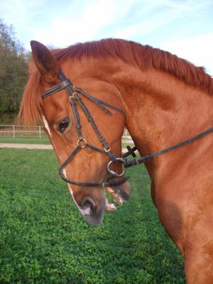 Photo de profil de elodie180000