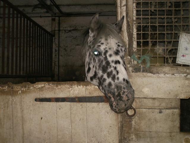 Photo de profil de elsa20