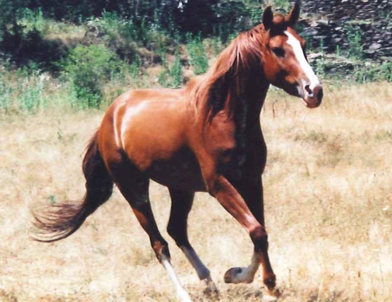 Photo de profil de emphea