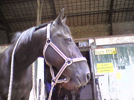 Photo de profil de fidjie