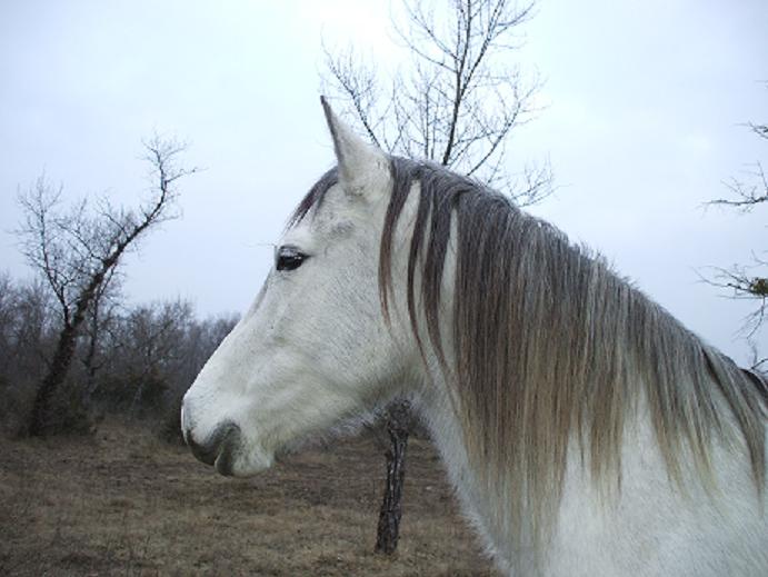 Photo de profil de fny