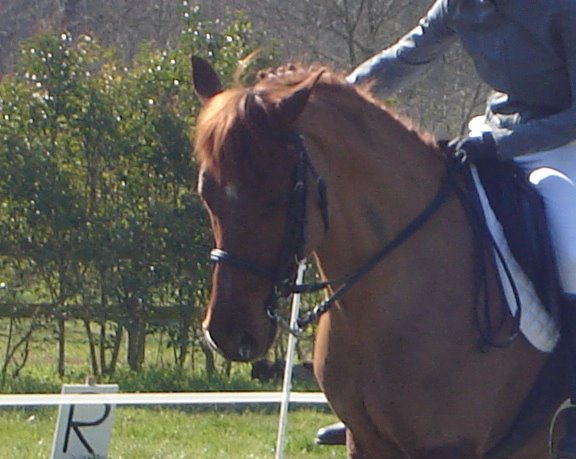 Photo de profil de fury