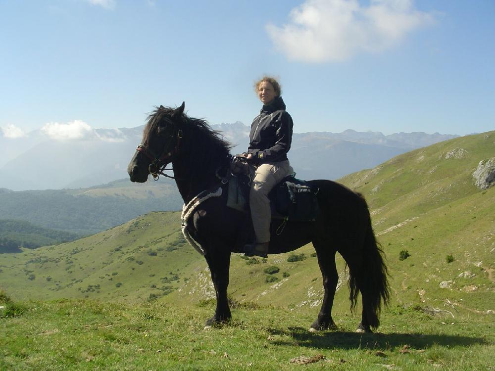 Photo de profil de gallye