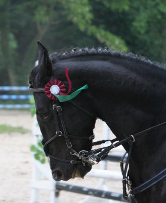 Photo de profil de gaminou91