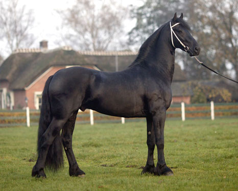 Photo de profil de geotheodoloze