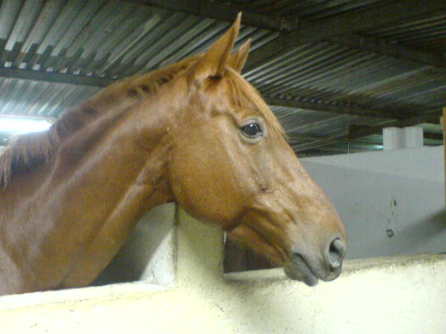 Photo de profil de hadji24520