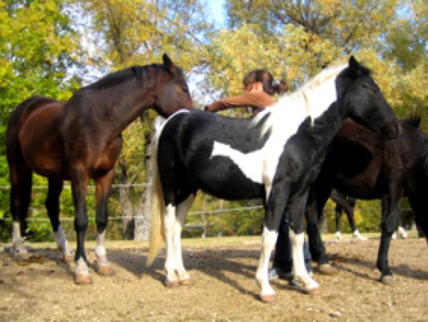 Photo de profil de hippocampa