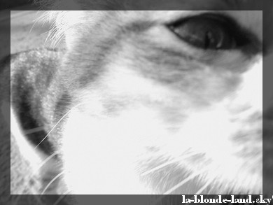 Photo de profil de holligane74