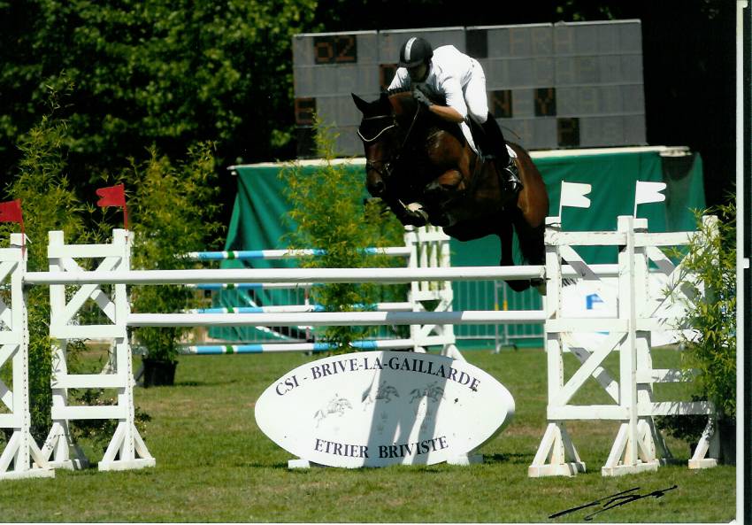 Photo de profil de horsemax