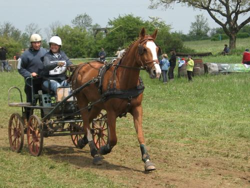 Photo de profil de idealkismie