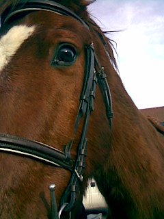 Photo de profil de jc55