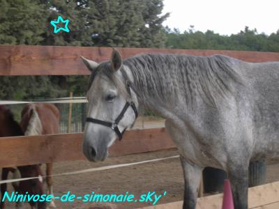 Photo de profil de jetaimueuh