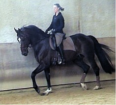 Photo de profil de lachouette