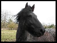 Photo de profil de ladytotor