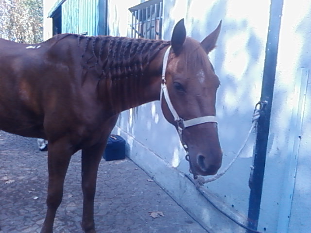 Photo de profil de lancelotjtm