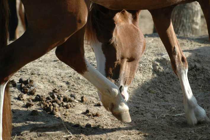 Photo de profil de laurannemillet