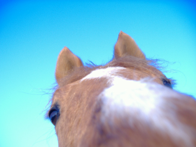 Photo de profil de lazar-88