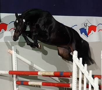 Photo de profil de lilouche1998