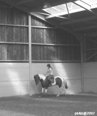 Photo de profil de lindsayd