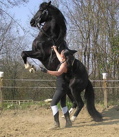 Photo de profil de lousevi