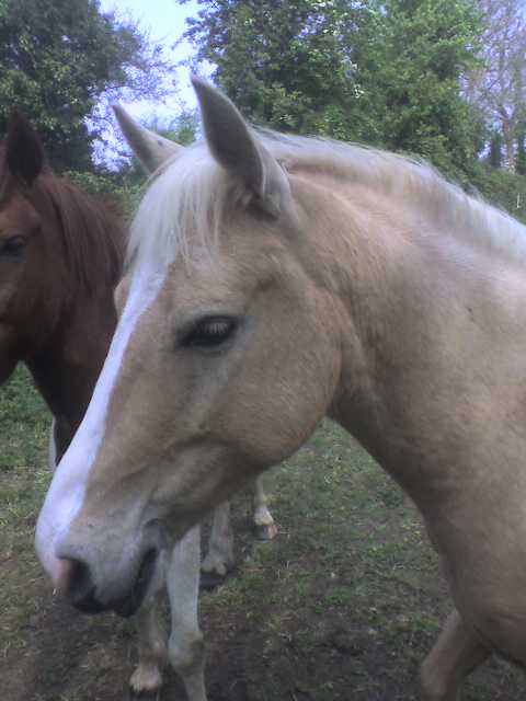 Photo de profil de lusitawagirl18